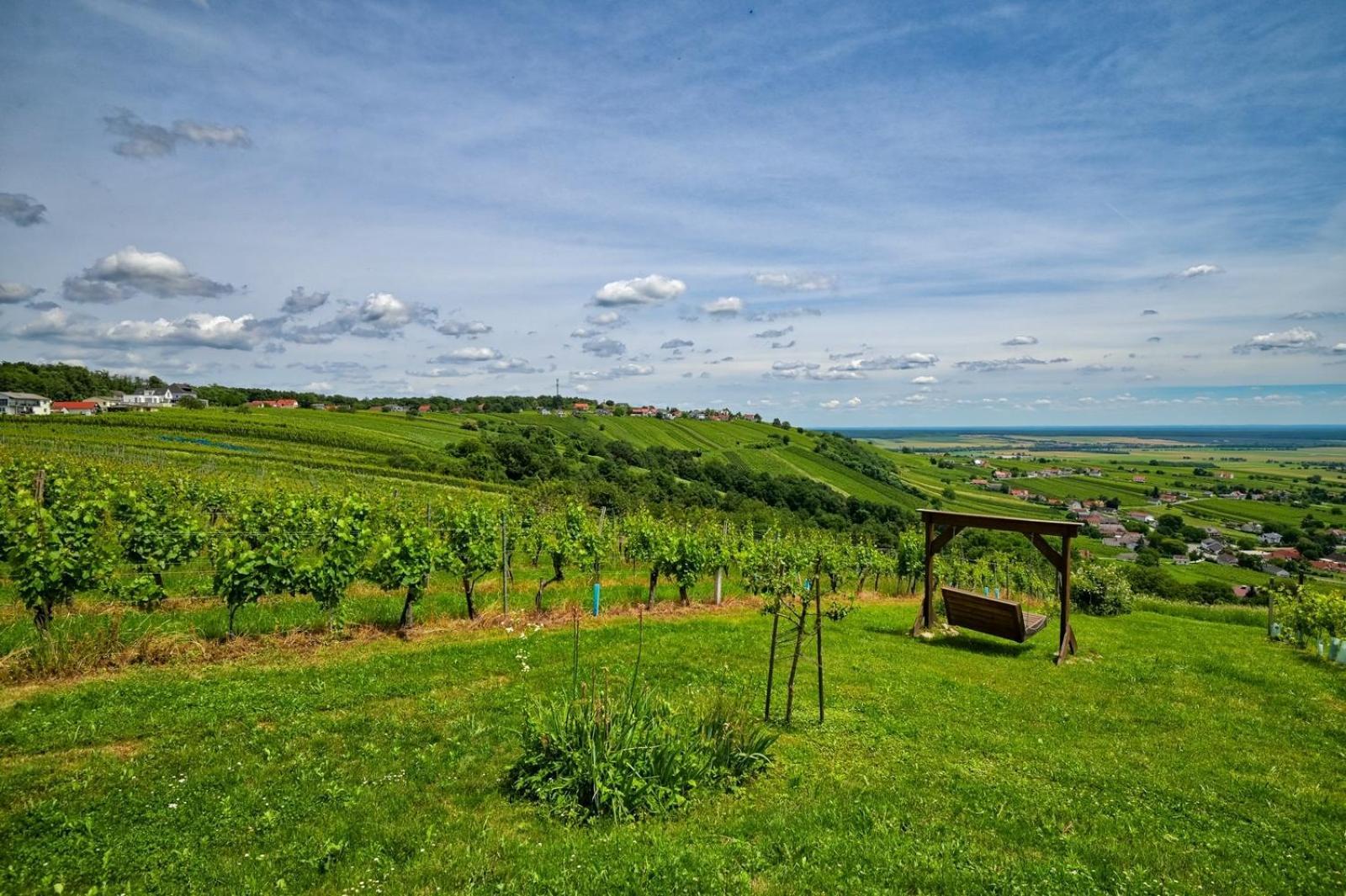 Villa Kellerstoeckl Am Berg Eisenberg an der Pinka Esterno foto